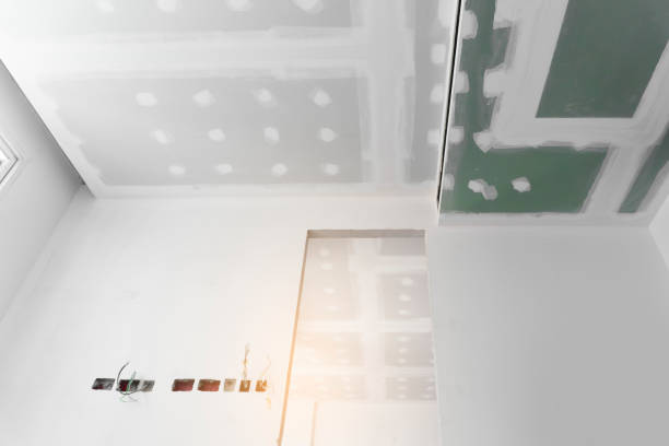 istockphoto-1525912370-612x612