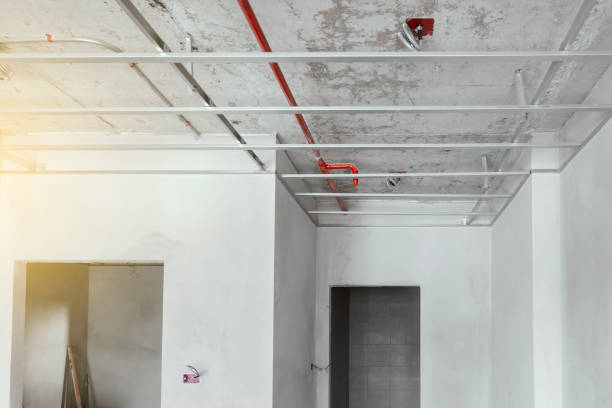 istockphoto-1528430412-612x612